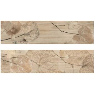 Del Conca FI Foreste D'Italia Beige Foliage FI 1 20x80