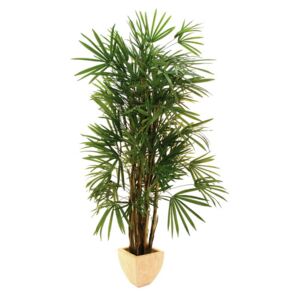 Umělá palma Lady - přírodní kmeny, 150 cm