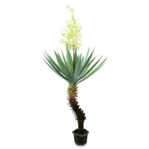 Umělé palma Yucca s květy, 222 cm