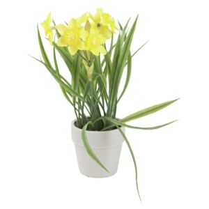 Narcis v květináči, 22 cm (Umělá květina)