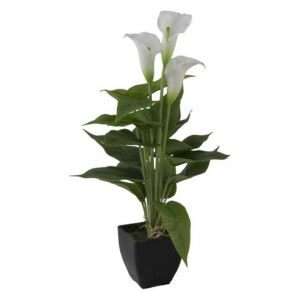 Umělá květina Kala bílá v květináči, 43cm