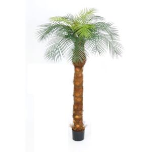 Umělá Phoenix palma, 170cm