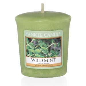 Votivní vonná svíčka Yankee Candle Wild Mint - Divoká máta 50 GRAMŮ