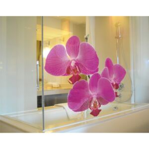 Design samolepka - Orchidej