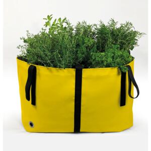 Blooming Walls® The Green Bag S - Neuvěřitelně praktický květináč Barva: Žlutá