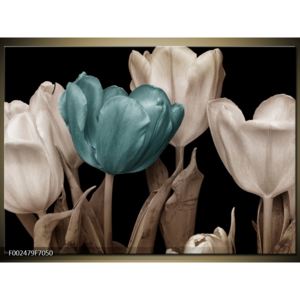 Obraz tulipánů - modrá černobílá (F002479F7050)