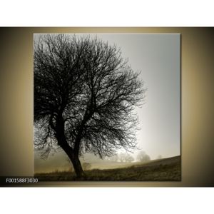 Obraz rozvětveného stromu (F001588F3030)