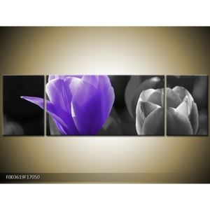 Obraz fialové květiny (F003619F17050)