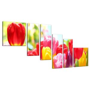 Obraz na plátně Žlutý tulipán 220x100cm 1255A_6D