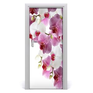 Fototapeta na dveře Orchidej
