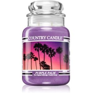 Country Candle Purple Palm vonná svíčka 680 g