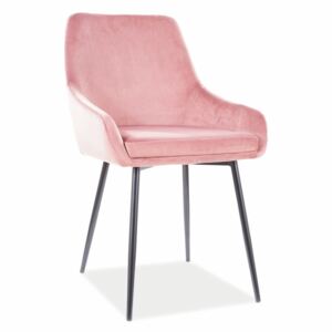 Jídelní židle - ALBI Velvet, nohy v černé barvě, různé barvy na výběr Čalounění: růžová (tap.92)