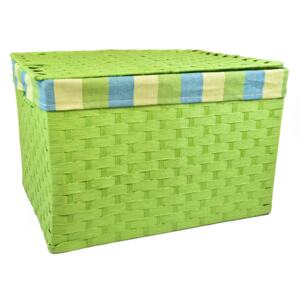 Vingo Úložný box s víkem zelený Rozměry (cm): 32x21, v. 24