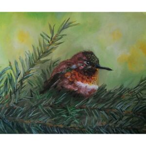 Ručně malovaný obraz Soňa Palečková - Kolibřík