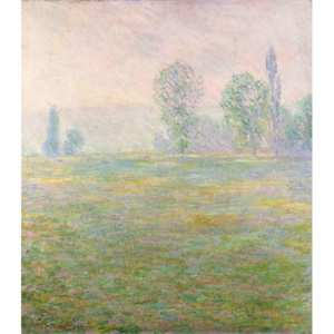 Obraz, Reprodukce - Meadows in Giverny, 1888, Claude Monet