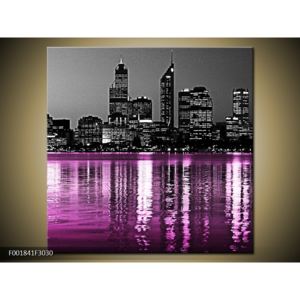 Černobílý obraz s růžovou řekou (F001841F3030)