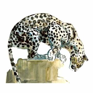 Obraz, Reprodukce - Spine (Arabian Leopard), 2015,, Adlington, Mark