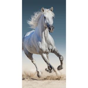 TOP Osuška 70x140 White horse
