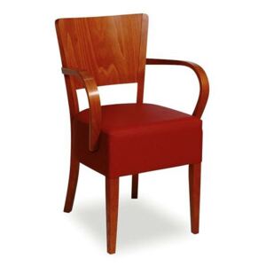 Jídelní židle Martina 162323 do restaurace