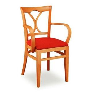 Tvarovaná jídelní židle Lucie 118323 s područkami