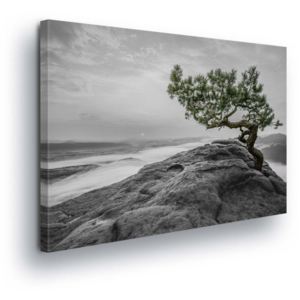 GLIX Obraz na plátně - Strom na Útesu v Šedé 100x75 cm