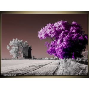 Obraz fialově zbarveného stromu (F002376F7050)