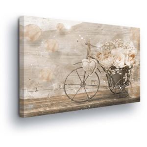 Obraz na plátně - Retro Bicykl 60x40 cm