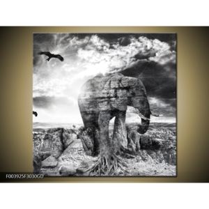 Moderní obraz slona (F003925F3030GD)