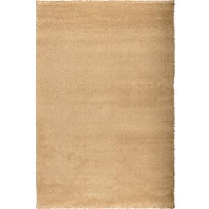 Moderní kusový koberec Fuego 2144-G305 | béžový Typ: 67x130 cm
