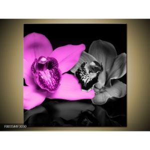 Obraz růžové orchideje (F003584F3030)