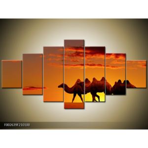 Obraz velbloudů na poušti (F002639F210100)