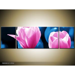Obraz růžových květin (F003831F17050)