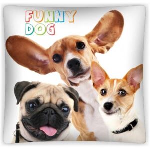 Zvířata • Povlak na polštář Funny dog - Legrační psi - 40 x 40 cm - Certifikát Oeko Tex Standard 100