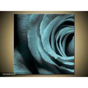 Obraz bleděmodrého květu (F003608F3030)
