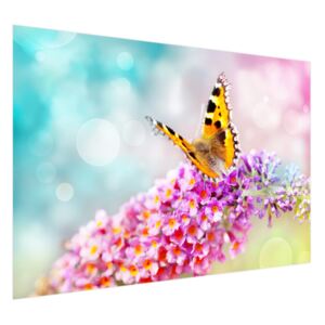 Fototapeta Motýl na květech 200x135cm FT2351A_1AL