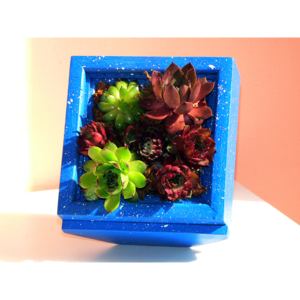 Dřevěný květináč - živý obraz na sukulenty se stojánkem Blue