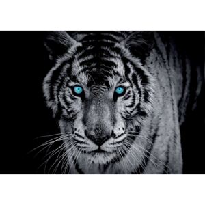 Postershop Fototapeta: Černobílý tygr - 184x254 cm