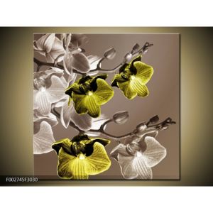 Obraz třech žlutých květin (F002745F3030)