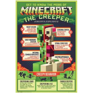 Plakát Minecraft: Creepy Behaviour (61 x 91,5 cm)
