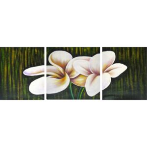 Obrazy - Bílé květy