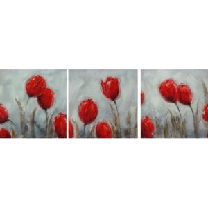 Obrazový set - Záhon červených květů