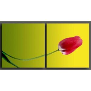 Obrazový set - Červený tulipán