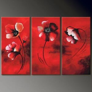 Vícedílné obrazy - Červené květiny