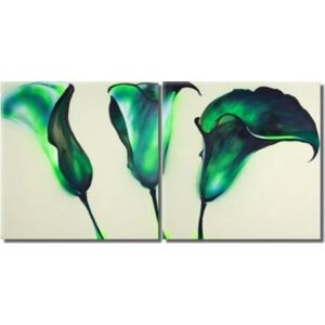 Vícedílné obrazy - Zelené kaly