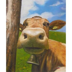 Obraz - Hlava Krávy