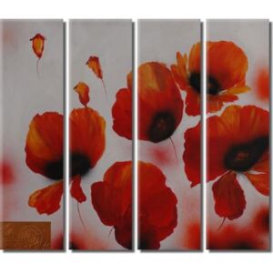 Obrazový set - Květy máků