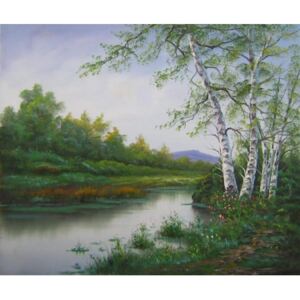 Obraz - Klidná řeka