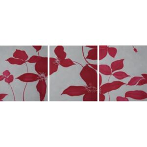 Obrazový set - Červené květy