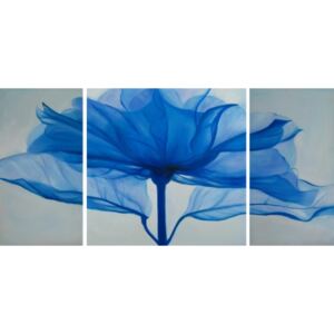 Obrazový set - Modrý květ