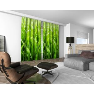 3D dekorační závěs 401V GREEN 2x160x250 cm set 2 kusy MyBestHome